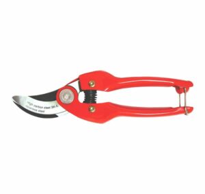 catalog product